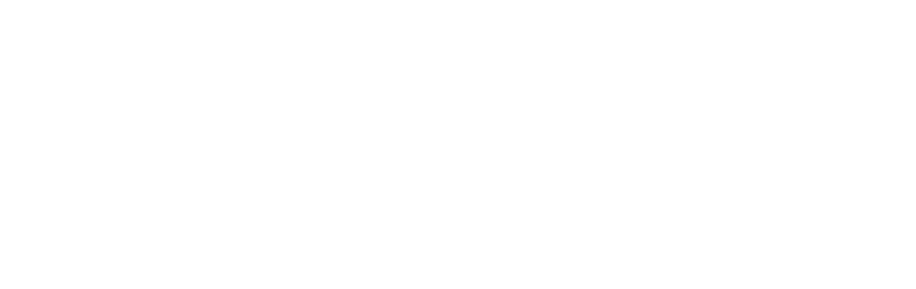 1111 digital strategy logo blanc